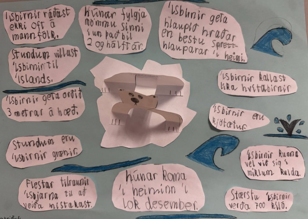 Málstofukall - Byrjendalæsi