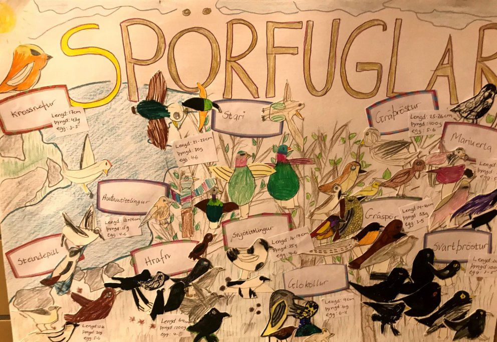 Mentor og Byrjendalæsi