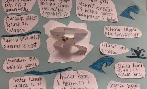 Málstofukall - Byrjendalæsi