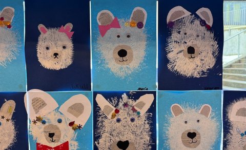 Byrjendalæsisnámskeið 2024