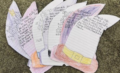 Fleiprað um finnska leið