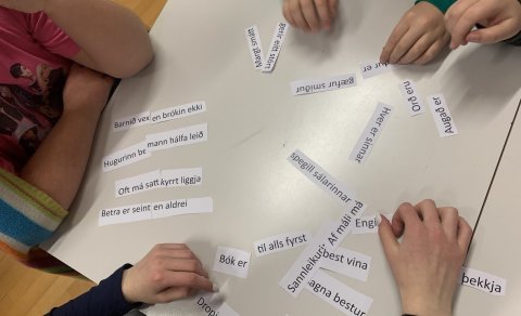 Að verða læs fyrir lífið