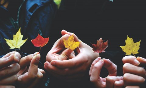 Málstofukall - Læsisráðstefnan Læsi fyrir lífið - skilningur, tjáning og miðlun